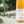 Load image into Gallery viewer, Bright AF: Alcohol-Free, Mushroom-Infused Aperitif